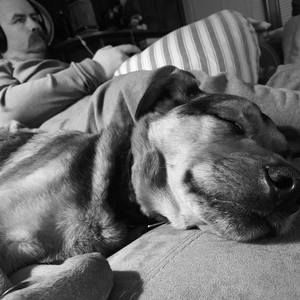 Meet your Posher, Edward